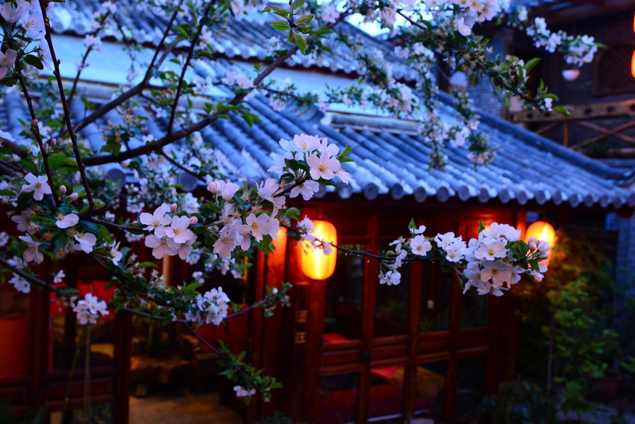 Lazy Tiger Inn Lijiang  Extérieur photo